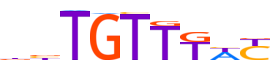 FOXP1.H14INVIVO.0.PS.A motif logo (FOXP1 gene, FOXP1_HUMAN protein)