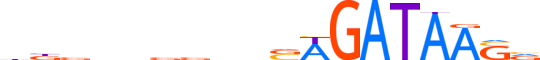 GATA1.H14INVIVO.0.P.B motif logo (GATA1 gene, GATA1_HUMAN protein)