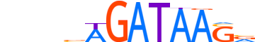 GATA6.H14INVIVO.0.PSM.A motif logo (GATA6 gene, GATA6_HUMAN protein)
