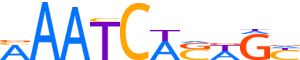 GFI1.H14INVIVO.0.PSM.A reverse-complement motif logo (GFI1 gene, GFI1_HUMAN protein)