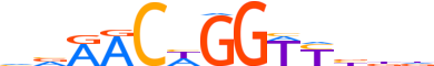 GRHL1.H14INVIVO.1.PS.A motif logo (GRHL1 gene, GRHL1_HUMAN protein)