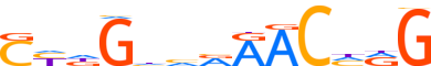 GRHL2.H14INVIVO.0.P.B reverse-complement motif logo (GRHL2 gene, GRHL2_HUMAN protein)