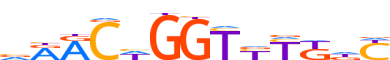 GRHL2.H14INVIVO.1.P.B motif logo (GRHL2 gene, GRHL2_HUMAN protein)