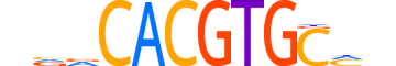 HEY1.H14INVIVO.0.S.D reverse-complement motif logo (HEY1 gene, HEY1_HUMAN protein)