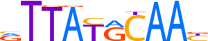 HLF.H14INVIVO.0.P.B motif logo (HLF gene, HLF_HUMAN protein)