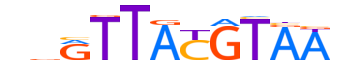 HLF.H14INVIVO.1.SM.B motif logo (HLF gene, HLF_HUMAN protein)