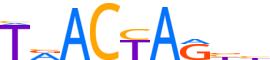 HMBX1.H14INVIVO.0.PSM.A reverse-complement motif logo (HMBOX1 gene, HMBX1_HUMAN protein)