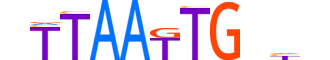HMX1.H14INVIVO.0.SM.D motif logo (HMX1 gene, HMX1_HUMAN protein)