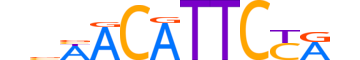 HSF5.H14INVIVO.0.M.D motif logo (HSF5 gene, HSF5_HUMAN protein)