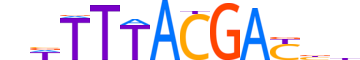 HXA11.H14INVIVO.1.SM.B motif logo (HOXA11 gene, HXA11_HUMAN protein)