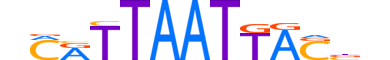 HXB7.H14INVIVO.1.SM.B motif logo (HOXB7 gene, HXB7_HUMAN protein)
