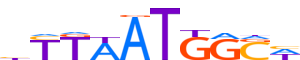 HXB8.H14INVIVO.0.PSM.A motif logo (HOXB8 gene, HXB8_HUMAN protein)