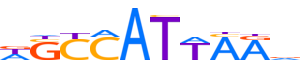 HXB8.H14INVIVO.0.PSM.A reverse-complement motif logo (HOXB8 gene, HXB8_HUMAN protein)