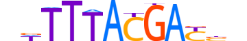HXC10.H14INVIVO.2.SM.B motif logo (HOXC10 gene, HXC10_HUMAN protein)