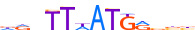HXD11.H14INVIVO.0.PS.A motif logo (HOXD11 gene, HXD11_HUMAN protein)