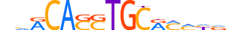 ITF2.H14INVIVO.0.S.B reverse-complement motif logo (TCF4 gene, ITF2_HUMAN protein)