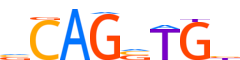 ITF2.H14INVIVO.1.PSM.A motif logo (TCF4 gene, ITF2_HUMAN protein)