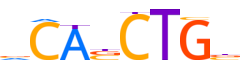 ITF2.H14INVIVO.1.PSM.A reverse-complement motif logo (TCF4 gene, ITF2_HUMAN protein)