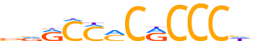 KLF1.H14INVIVO.0.P.B reverse-complement motif logo (KLF1 gene, KLF1_HUMAN protein)