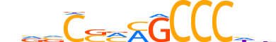 KLF3.H14INVIVO.1.M.C reverse-complement motif logo (KLF3 gene, KLF3_HUMAN protein)