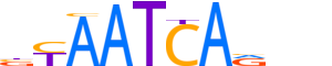 LHX6.H14INVIVO.0.P.B motif logo (LHX6 gene, LHX6_HUMAN protein)