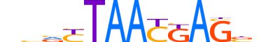 LHX6.H14INVIVO.2.M.C motif logo (LHX6 gene, LHX6_HUMAN protein)