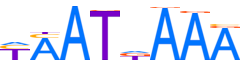 LMX1B.H14INVIVO.0.P.C motif logo (LMX1B gene, LMX1B_HUMAN protein)