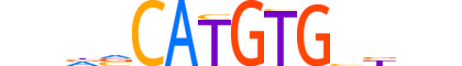 MAX.H14INVIVO.1.M.C motif logo (MAX gene, MAX_HUMAN protein)