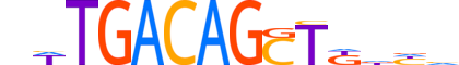 MEIS2.H14INVIVO.2.SM.B motif logo (MEIS2 gene, MEIS2_HUMAN protein)