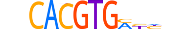 MLX.H14INVIVO.1.SM.B motif logo (MLX gene, MLX_HUMAN protein)