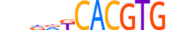 MLX.H14INVIVO.1.SM.B reverse-complement motif logo (MLX gene, MLX_HUMAN protein)