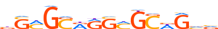 MYPOP.H14INVIVO.0.PSGB.A motif logo (MYPOP gene, MYPOP_HUMAN protein)