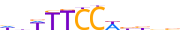 NFAC2.H14INVIVO.1.PS.A reverse-complement motif logo (NFATC2 gene, NFAC2_HUMAN protein)