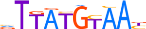 NFIL3.H14INVIVO.0.P.B motif logo (NFIL3 gene, NFIL3_HUMAN protein)