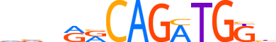 NGN2.H14INVIVO.0.P.B motif logo (NEUROG2 gene, NGN2_HUMAN protein)