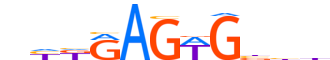 NKX25.H14INVIVO.0.PSM.A motif logo (NKX2-5 gene, NKX25_HUMAN protein)