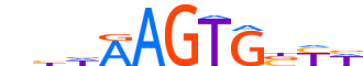 NKX31.H14INVIVO.0.PSM.A motif logo (NKX3-1 gene, NKX31_HUMAN protein)
