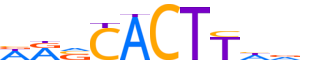 NKX31.H14INVIVO.0.PSM.A reverse-complement motif logo (NKX3-1 gene, NKX31_HUMAN protein)