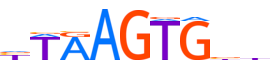 NKX32.H14INVIVO.0.PSM.A motif logo (NKX3-2 gene, NKX32_HUMAN protein)