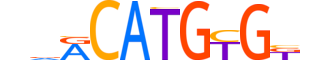 NPAS2.H14INVIVO.1.M.D motif logo (NPAS2 gene, NPAS2_HUMAN protein)