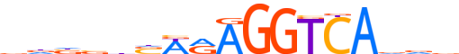 NR2F6.H14INVIVO.0.P.C motif logo (NR2F6 gene, NR2F6_HUMAN protein)