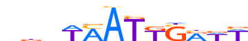 PAX3.H14INVIVO.2.P.C motif logo (PAX3 gene, PAX3_HUMAN protein)