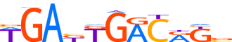 PBX2.H14INVIVO.0.P.B motif logo (PBX2 gene, PBX2_HUMAN protein)