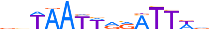 PHX2A.H14INVIVO.0.PS.A reverse-complement motif logo (PHOX2A gene, PHX2A_HUMAN protein)