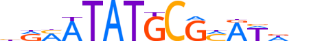 PO2F2.H14INVIVO.1.M.C motif logo (POU2F2 gene, PO2F2_HUMAN protein)