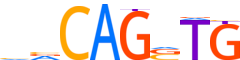 PTF1A.H14INVIVO.1.PS.A reverse-complement motif logo (PTF1A gene, PTF1A_HUMAN protein)
