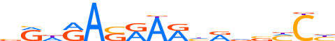 RBAK.H14INVIVO.0.P.C motif logo (RBAK gene, RBAK_HUMAN protein)