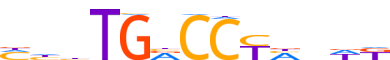 RORA.H14INVIVO.0.P.C reverse-complement motif logo (RORA gene, RORA_HUMAN protein)