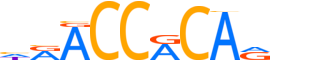 RUNX2.H14INVIVO.0.P.B reverse-complement motif logo (RUNX2 gene, RUNX2_HUMAN protein)