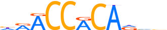 RUNX3.H14INVIVO.0.P.B reverse-complement motif logo (RUNX3 gene, RUNX3_HUMAN protein)